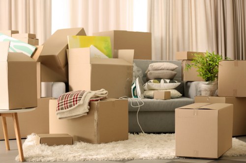 Illustration of efficient packing techniques and moving tips